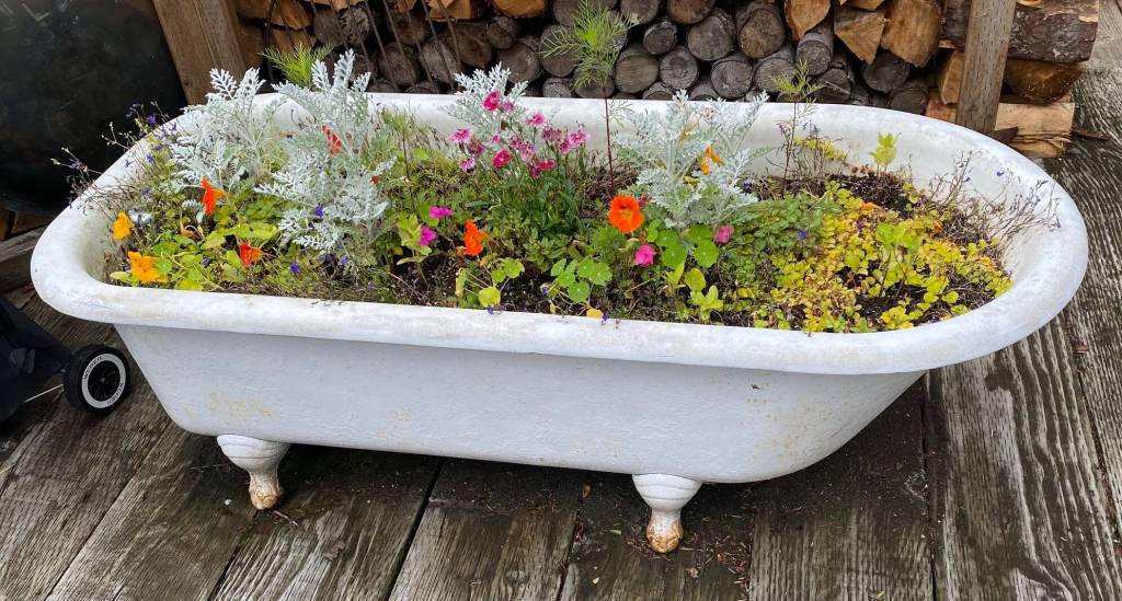 The layout of a garden as art near Evergreen Cemetery on Aug. 18. (Photo by Denise Carroll)