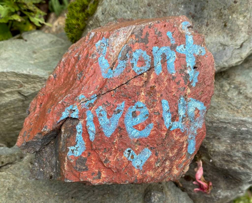A positive message for the community in a downtown garden Aug. 18. (Photo by Denise Carroll)