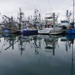 Fishing boats are lines up on Oct. 3, 2022, at a dock at Kodiaks St. Paul Harbor. (Photo by Yereth Rosen/Alaska Beacon)