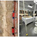 Visceral: Verity, Legacy, Identity  Alaska Native Gut Knowledge and Perseverance, a group of three interrelated exhibitions, will be featured from 4:30-7:30 p.m. during First Friday at the Alaska State Museum. (Courtesy of the Juneau Arts and Humanities Council)