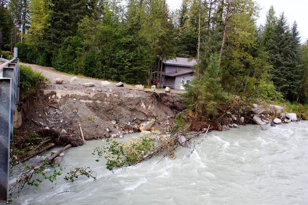 Trees lie in the Mendenhall River following last months record flooding that eroded massive sections of the riverbank, causing widespread property and environmental damage. (Mark Sabbatini / Juneau Empire)
