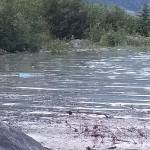 During the 2023 jokulhlaup the Photo Point Trail footbridge railing was completely inundated when the lake flood reached 14.97 feet. The tip of a blue sign is visible above the flooded path. (Anonymous photo, used with permission)
