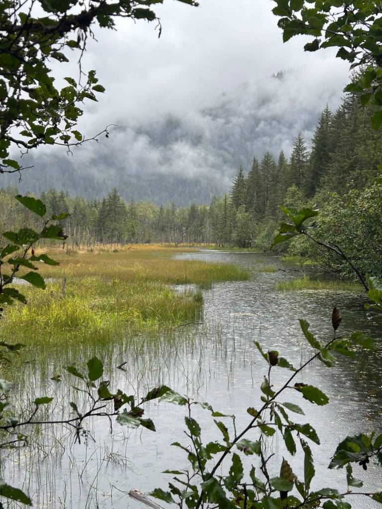 Dredge Lakes on a rainy day, submitted on Sept. 17. (Photo by Deborah Rudis)