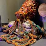 This octopus piece of art shows all the debris picked up in one section of the harbor in Resurrection Bay on Sept. 20. (Photo by Denise Carroll)