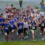 Runners start the combined DI/DII Region V Boys Cross Country Championship race on Saturday at Treadwell Mine Trails. (Klas Stolpe / For the Juneau Empire)
