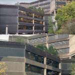 Photos taken before (top) and after (bottom) cleaning portions of the State Office Building reveal the extent of organic material that has accumulated on the exterior during at least the past decade. (Photos courtesy of Bill Campbell / Alaska Division of Facilities Services)