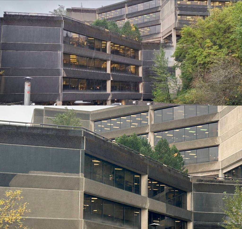 Photos taken before (top) and after (bottom) cleaning portions of the State Office Building reveal the extent of organic material that has accumulated on the exterior during at least the past decade. (Photos courtesy of Bill Campbell / Alaska Division of Facilities Services)