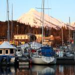 Boats berth at Don D. Statter Harbor in February. On Wednesday evening the City and Borough of Juneaus Docks and Harbors Board OKd a 9% increase to all docks and harbors fees with one exception. (Clarise Larson / Juneau Empire)