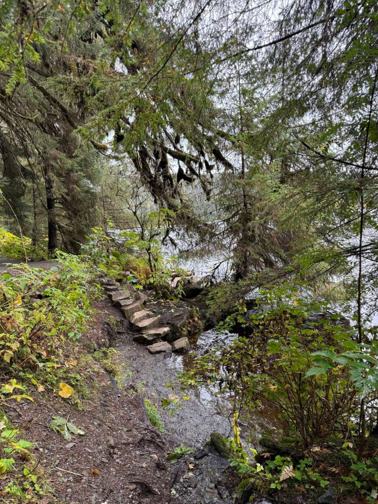 A rustic stairway leads from Auke Lake to the namesake trail on Sept. 30. (Photo by Deana Barajas)