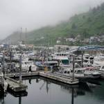 A person walks across the dock at St. Paul Harbor, Thursday, June 22, 2023, in Kodiak. Alaska fishermen will be able to harvest red king crab, the largest and most lucrative of all the Bering Sea crab species, for the first time in two years, offering a slight reprieve to the beleaguered fishery beset by low numbers likely exacerbated by climate change. (AP Photo/Joshua A. Bickel, File)