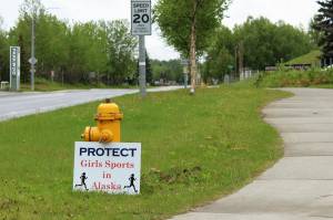 A sign opposing the participation of transgender girls in girls sports is propped against a fire hydrant outside of the George A. Navarre Admin Building on Thursday, June 8, 2023, in Soldotna. (Ashlyn OHara/Peninsula Clarion)
