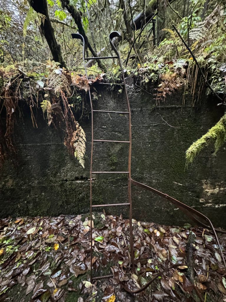 A ladder reminds trekkers of another era along the Treadwell Mine Historic Trail on Oct. 7. (Photo by Deana Barajas)