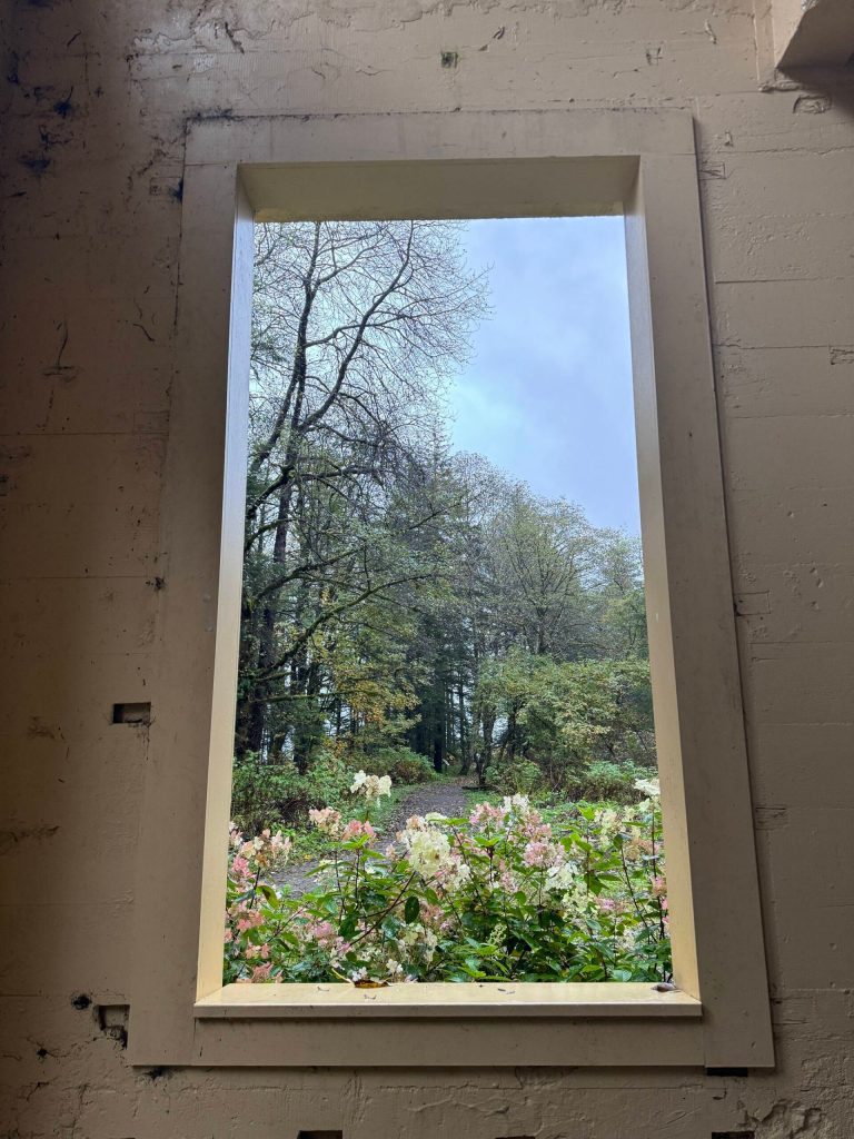 The forest resembles a wall painting from inside the New Office Building along the Treadwell Mine Historic Trail on Oct. 7. (Photo by Deana Barajas)