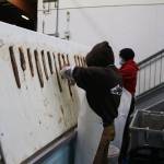 Workers at Alaska Glacier Seafoods clean sea cucumbers, separating meat from skin, at the processing plant on Thursday. In recent years the company has been shipping most of the product to domestic markets. (Meredith Jordan/ Juneau Empire)