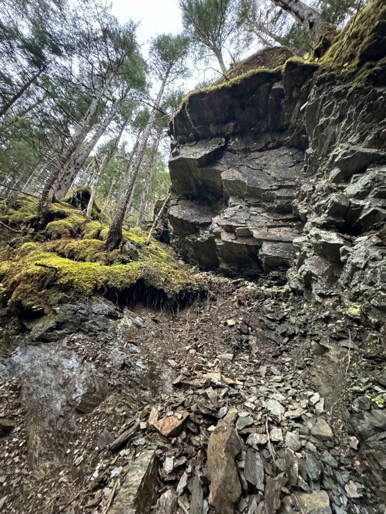 A place to keep moving without stopping on the Salmon Creek Dam Trail on Oct. 14. (Photo by Deana Barajas)