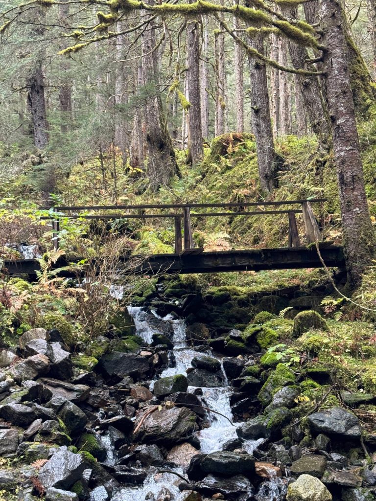 The bridge to nowhere on the Salmon Creek Dam Trail on Oct. 14. (Photo by Deana Barajas)