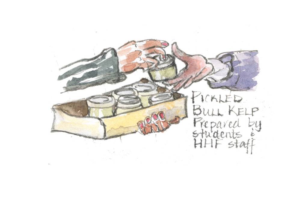 A sketch show pickled bull kelp at the annual Traditional Food Fair in Hoonah on Sept. 9. (Sketch by Stephanie Harold) (Sketch by Stephanie Harold)