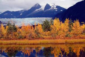 Fall colors at Mendenhall Lake. (Photo by Bob Armstrong)