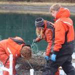 Meta Mesdag, owner of Salty Lady Seafood Co., works alongside sons Emmett, 16, and Kai, 13. A harmful algae bloom shut down the farm for half of the 20-week season, which means working into the winter. (Meredith Jordan/ Juneau Empire)
