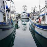 Fishing boats line the docks in Kodiaks St. Paul Harbor on Oct. 2, 2022. Fish-harvesting employment has been declining since 2015, with multiple factors at play, according to an Alaska Department of Labor and Workforce Development analysis. (Photo by Yereth Rosen/Alaska Beacon)