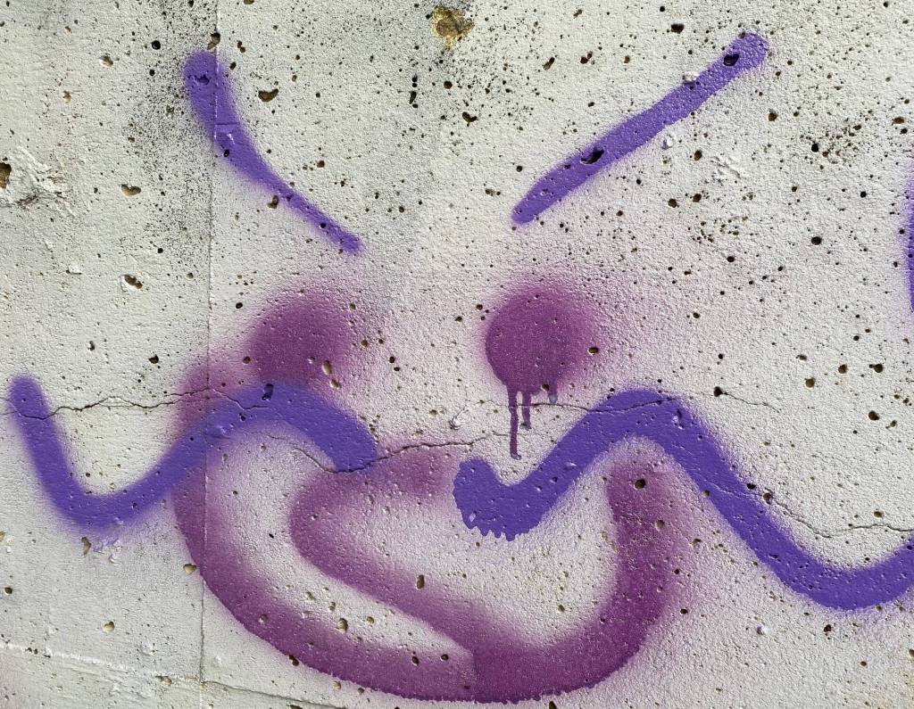 Interesting face on a cement wall by the bridge to Douglas seen on Oct. 19. (Photo by Denise Carroll)