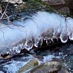 Frozen fingers of ice in Gold Creek seen on Oct. 25. (Photo by Denise Carroll)
