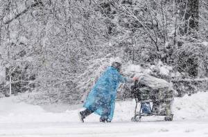 A pedestrian pushes a shopping cart on Cordova Street during a heavy snowfall on Thursday in Anchorage. Four homeless people have died in Anchorage in the last week, underscoring the citys ongoing struggle to house a large houseless population at the same time winter weather has returned, with more than 2 feet (0.61 meters) of snow falling within 48 hours. (Marc Lester/Anchorage Daily News via AP)
