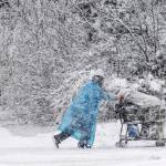 A pedestrian pushes a shopping cart on Cordova Street during a heavy snowfall on Thursday in Anchorage. Four homeless people have died in Anchorage in the last week, underscoring the citys ongoing struggle to house a large houseless population at the same time winter weather has returned, with more than 2 feet (0.61 meters) of snow falling within 48 hours. (Marc Lester/Anchorage Daily News via AP)