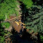 Heavy equipment contractor TM Construction works with the U.S. Forest Service on a stream restoration project in Skanaxhéen on Kuiu Island. Heavy equipment stream restoration is another example of how this regenerative work can create jobs and opportunities throughout the region. This work is done during an in-stream window when there will be the least impact to spawning salmon. (Photo by Lee House)