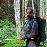 Philip Sharclane, crew member of the Hoonah Native Forest Partnership, stands holding an electroshocker, which emits an electrical current into water that temporarily stuns fish so that they can be surveyed for data collection. This can be a critical tool in documenting if salmon and other anadromous fish (that go from saltwater to freshwater to spawn) are present in a stream and how far upstream they are able to make it. (Photo by Shaelene Grace Moler / Sustainable Southeast Partnership)