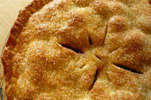 (Jessica Spengler/CC BY 2.0 DEED)