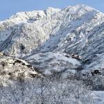 Kristen Rozell skate skis in Valdez in January 2023. (Photo by Ned Rozell)