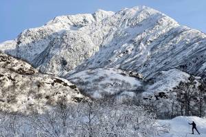 Kristen Rozell skate skis in Valdez in January 2023. (Photo by Ned Rozell)