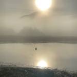 A swan in a pond near the Airport Dike Trail on Nov. 2. (Photo by Leslie Holzman)
