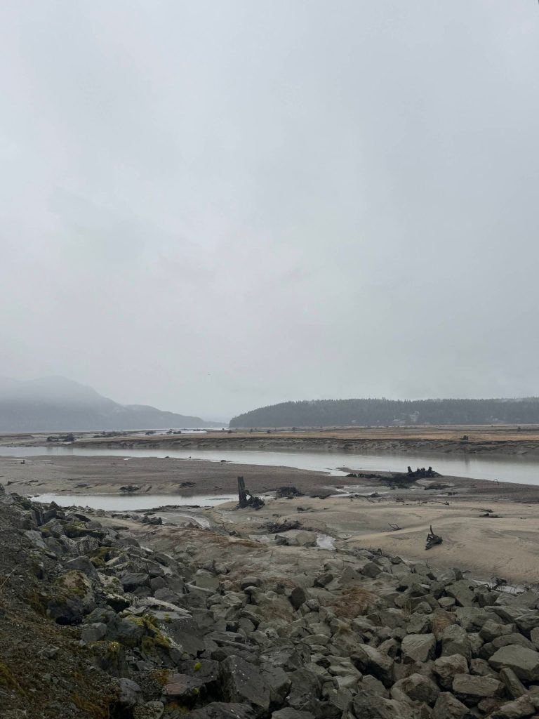 Wetlands near the Airport Dike Trail on Nov. 18. (Photo by Deana Barajas)