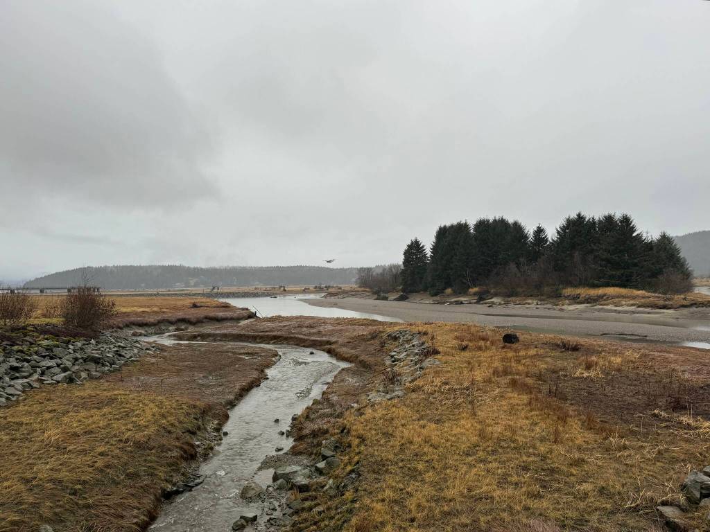 Along the Airport Dike Trail on Nov. 18. (Photo by Deana Barajas)