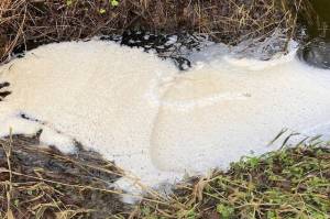 A large foamy heart in a Juneau creek formed by decaying organic matter (dead leaves and twigs) at the Twin Lakes area Nov. 27. (Photo by Denise Carroll)