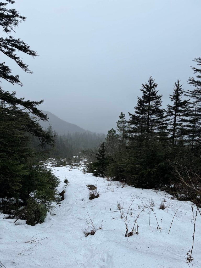A lookout spot look across the water at downtown Juneau from the Treadwell Ditch Trail on Nov. 25. (Photo by Deana Barajas)