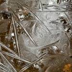 Fern and feather ice along the East Glacier Trail on Nov 29. (Photo by Deborah Rudis)