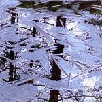 Tree reflections and icy patterns on an East Glacier Trail pond Nov. 29. (Photo by Denise Carroll)