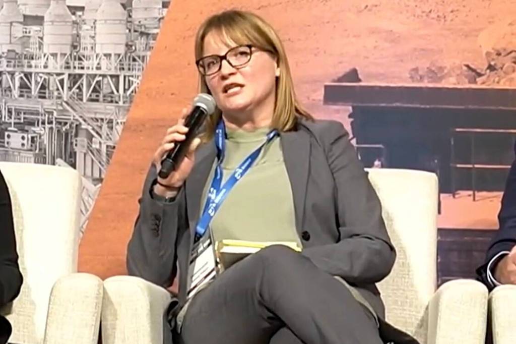 Emma Pokon, commissioner-designee of the Alaska Department of Environmental Conservation, discusses wood stove pollution regulations affecting the Fairbanks-North Star Borough during a Nov. 26 forum. (Screenshot from video by the Alaska Department of Environmental Conservation)