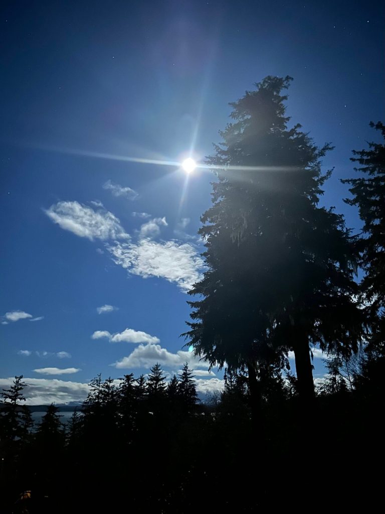 Moonlight over Stephens Passage through the trees on Nov. 27. (Photo by Joe Orsi)