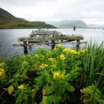 In this photo provided by the U.S. Fish and Wildlife Service, a remnant of World War II remains on Attu Island, Alaska, on Aug. 22, 2017. Gregory Golodoff, who was 3 years old when his remote Alaska island was captured by Japanese troops and who became the last survivor among its 41 residents sent to Japan as prisoners, died Nov. 17, 2023. The island of Attu in the Aleutian chain was one of just a few U.S. territories taken by enemy forces during the war, and the American effort to reclaim it amid frigid rain, dense fog and hurricane-force winds was the only battle of the war fought on North American soil. (Lisa Hupp/USFWS via AP, File)