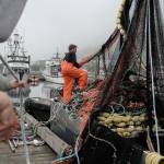 Deckhands stack nets on a boat before heading out to sea to fish salmon on Thursday, June 22, in Kodiak. (AP Photo/Joshua A. Bickel)