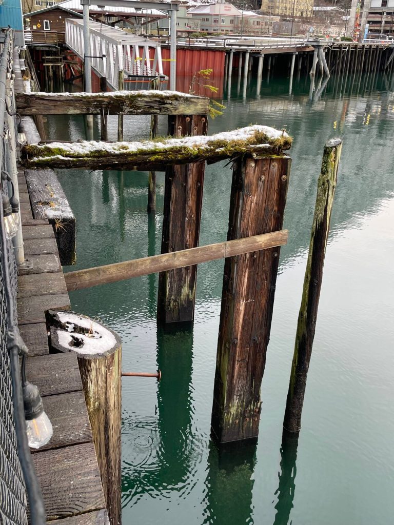 Snow clings to moss-covered pilings that are remnants of a 1936 elevator system designed by pilot Shell Simmons to lift planes from the water into the hangar for maintenance. (Photo Laurie Craig)