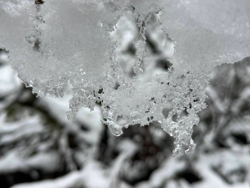 A heart within a natural ice sculpture on the Lemon Creek Trail on Dec. 10. (Photo by Deana Barajas)