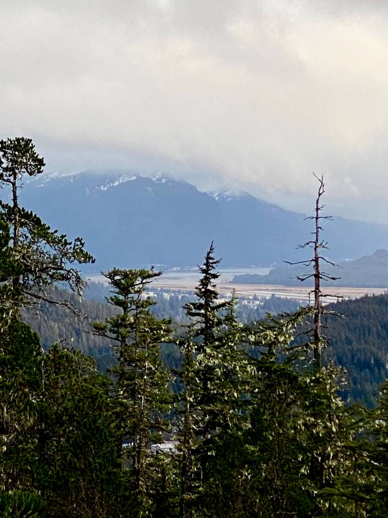 Looking toward town from the John Muir Trail on Dec. 6. (Photo by Denise Carroll)