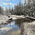 A reflection on water at Mendenhall Campground on Dec. 16. (Photo by Deborah Rudis)