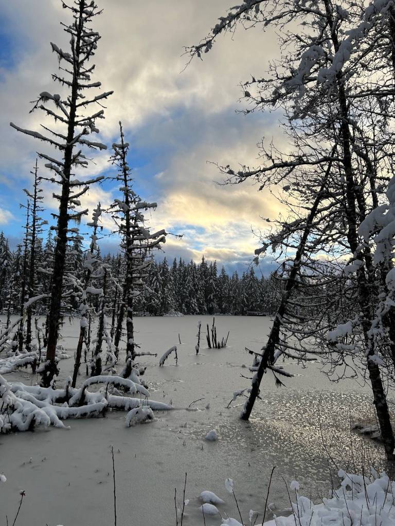 The wetlands at Mendenhall Campground on Dec. 16. (Photo by Deborah Rudis)