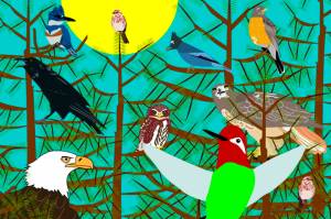 A still image of Birds! from SHI: Language Games. (Image courtesy of Sealaska Heritage Institute)